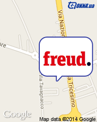 FREUD �� �����