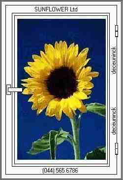 ALL'N'ONE (SUNFLOWER LTD)