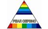 Логотип компании Реал Сервис
