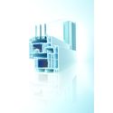 Salamander bluEvolution
