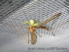 Противомоскитные сетки