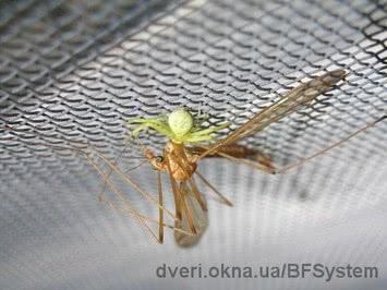 Противомоскитные сетки