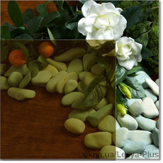 Склопакети з тонованим склом