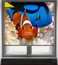 Ролл шторы с фотопечатью