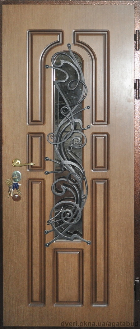 двері вхідні металеві