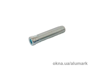 Анкер ввертна Giesse 12х55 для петлі Domina HP New, Classic (для кріплення на профіль з терморозривом) Анкер ввертна Giesse 12х55 для петлі Domina HP New, Classic (для кріплення на профіль з терморозривом)