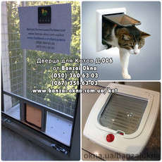 Дверца для Котов Banzai