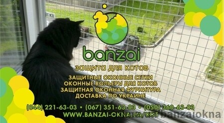 Работы Banzai okna