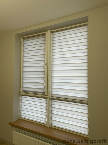 Рулонные шторы День-Ночь