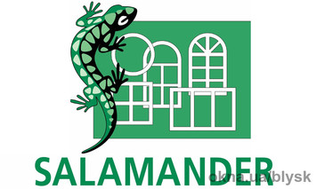 Окна Salamander
