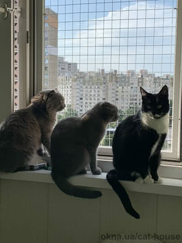 Захист на вікна від випадіння котиків