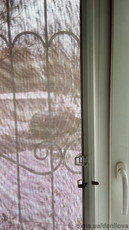 Сетки москитные