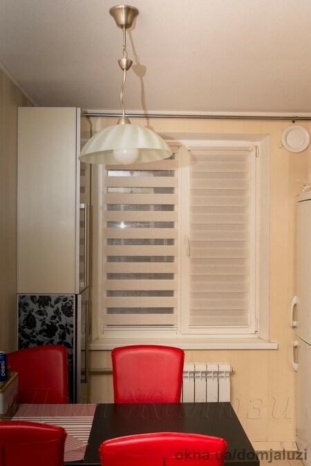 Жалюзи День-Ночь