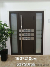 Входные фасадные алюминиевые двери в дом