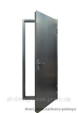 Двери входные МСМ Эврика метал