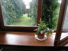 Підвіконник