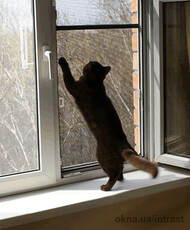 Сетка москитная антикот