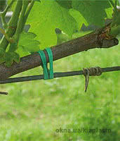 Агротрубка, агрошнур, кембрик, подвязка для винограда
