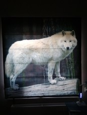 Римские шторы. Фотопечать. 1400*1450 мм