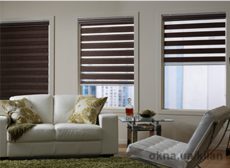 Жалюзи День-Ночь