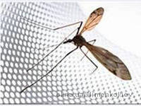 Москитные сетки в Ирпене