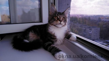 Москитна сітка антикішка алюмінієва.