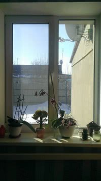 Металлопластиковое окно в кухню из двух створок. Глухов Rehau Euro 70