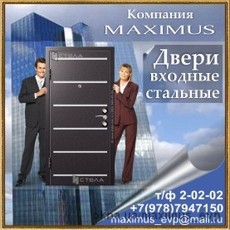 Двери входные стальные