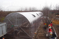 Теплицы и парники фермерские, дачные, промышленные