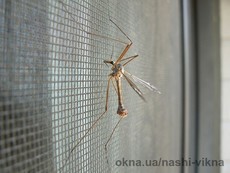 Москитные сетки