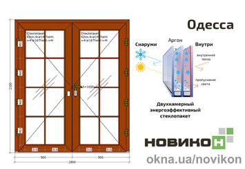 Вхідні двері REHAU профілю Synego зі шпросами Venezia в кольорі 