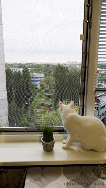 Москитная сетка антикошка