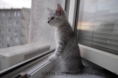 Москитные сетки типа Стандарт и Антикошка