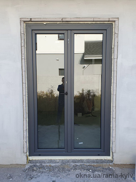 Металлопластиковые двери WDS