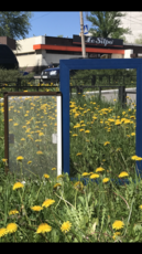 Москитная сетка NEHER