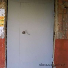 Металлические двери