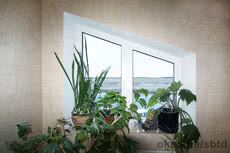 Стеклопакеты и пластиковые окна