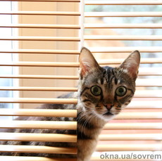 Горизонтальные жалюзи всех цветов радуги.