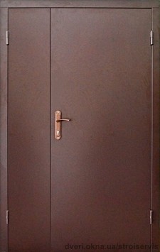 Двойные входные металлические двери в общий коридор