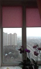 Рулонные шторы