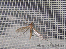 Москитные сетки