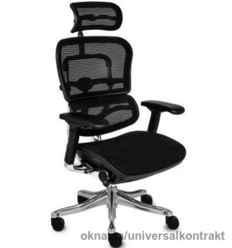 Кресло офисное Ergohuman Plus, эргономичное, черное