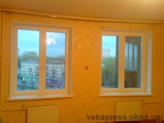 Двостулкове вікно в зал