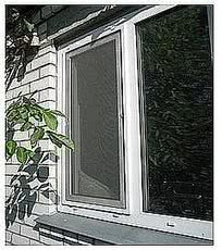 москитки за день