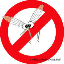 Экспресс сетка в Киеве за 2-3 дня