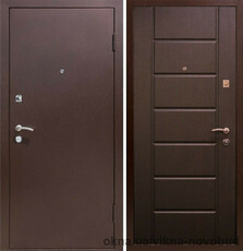 Двери наружный метал