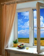 Окна для частного дома