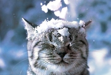 С Наступающим Новым Годом!