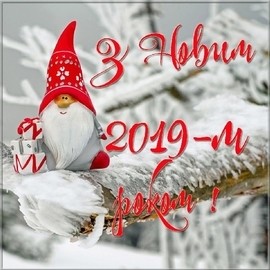 З наступаючим 2019 Роком!