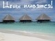 Отличная летняя цена
